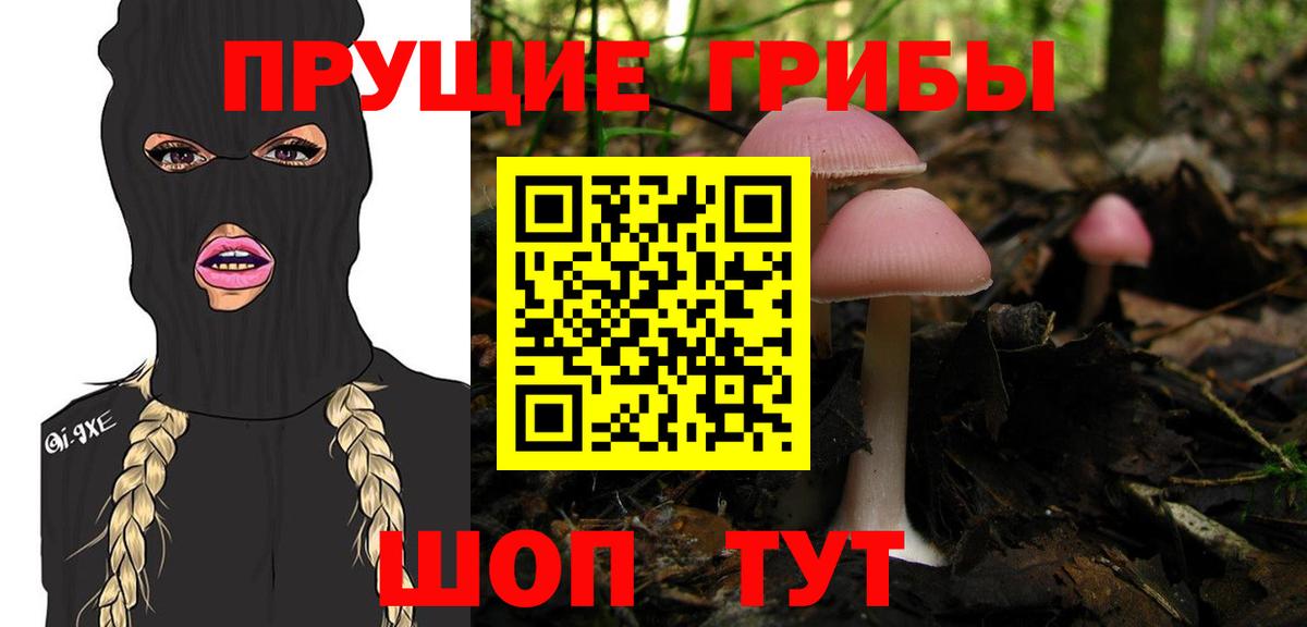 Псилоцибиновые грибы MAGIC MUSHROOMS Первоуральск